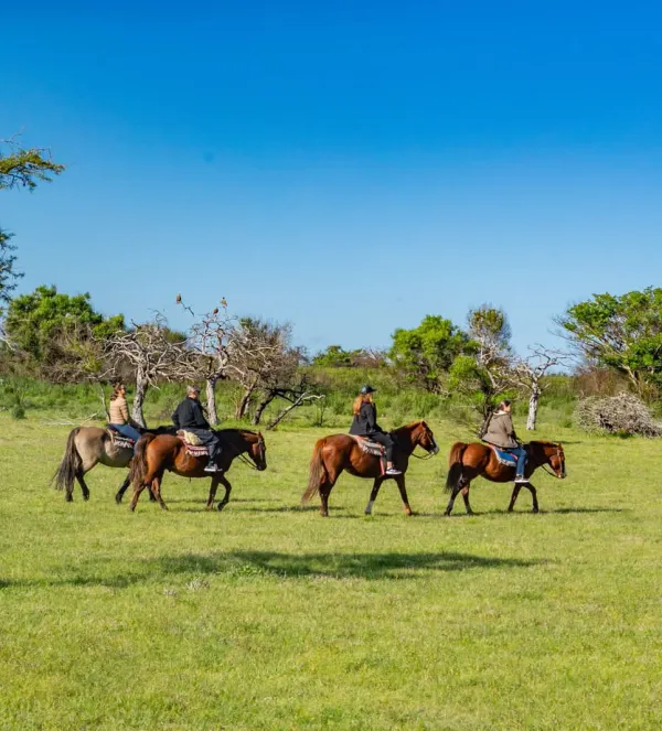 Horseback Riding